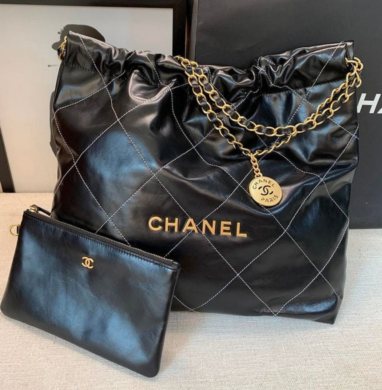 Chanel bag 22