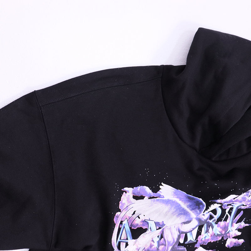 AMIRI Pegasus Script Hoodie