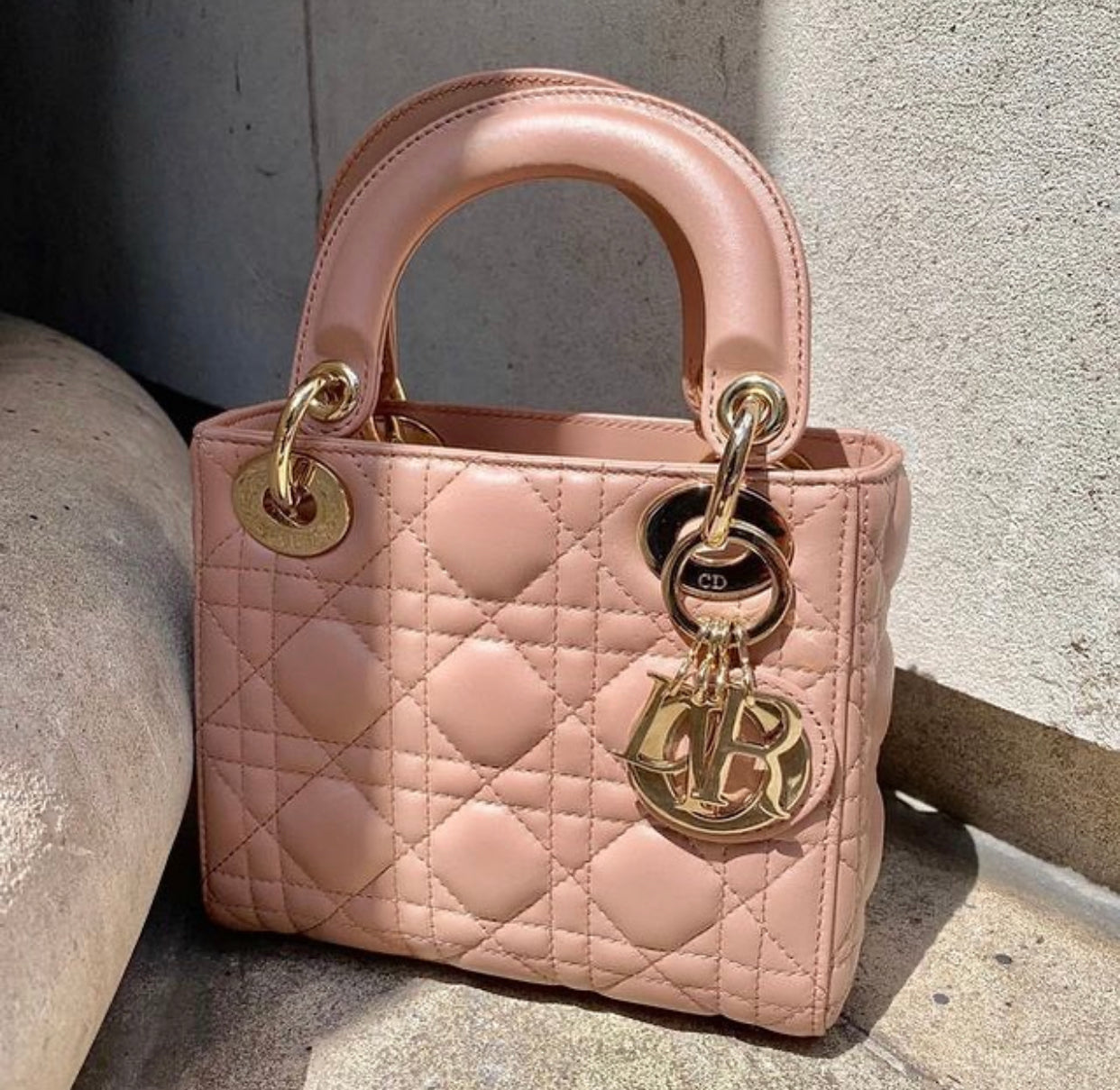 Dior Lady Bag