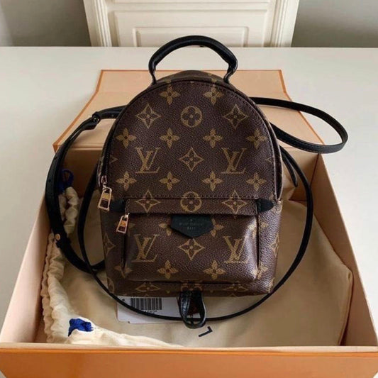 Louis Vuitton Back Bag